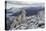 Arctic Fox (Alopex - Vulpes Lagopus) Standing On Ridge-Andy Trowbridge-Premier Image Canvas