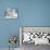 Arctic Fox at Twilight-Joni Johnson-Godsy-Stretched Canvas displayed on a wall