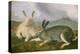 Arctic Hare, c.1841-John James Audubon-Premier Image Canvas
