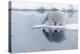 Arctic, north of Svalbard. A polar bear is reflected in the calm water in the pack ice.-Ellen Goff-Premier Image Canvas