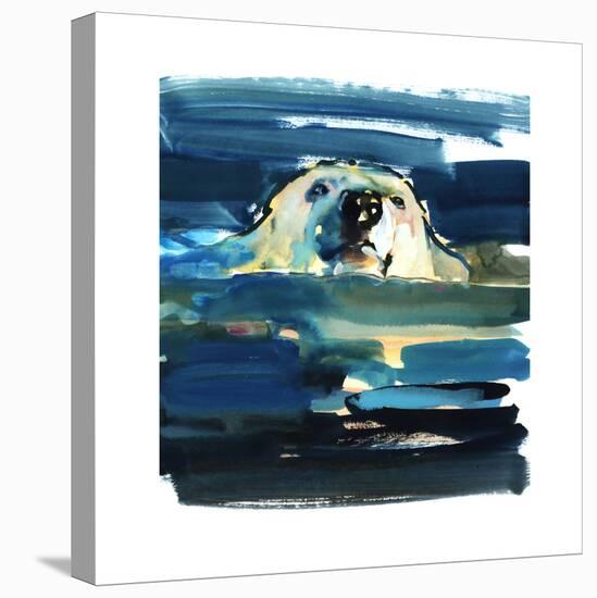 Arctic Swim, 2016-Mark Adlington-Premier Image Canvas