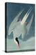 Arctic Tern, from 'Birds of America', Engraved by Robert Havell (1793-1878) Published 1835-John James Audubon-Premier Image Canvas