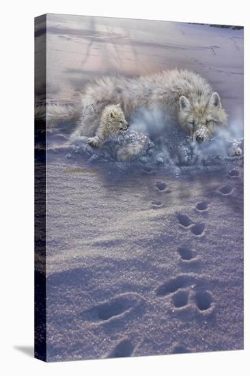 Arctic Tracks-Gordon Semmens-Premier Image Canvas