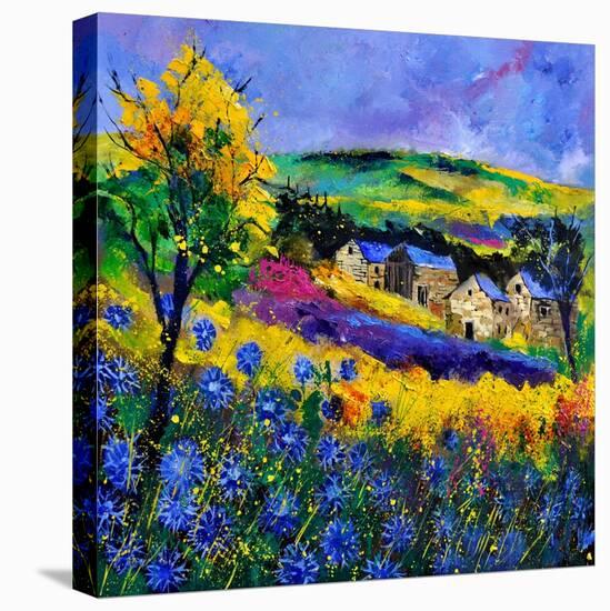 Ardennes 883101-Pol Ledent-Stretched Canvas