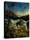 Ardennes Belgium 45-Pol Ledent-Stretched Canvas