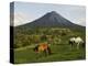 Arenal Volcano from the La Fortuna Side, Costa Rica-Robert Harding-Premier Image Canvas