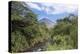 Arenal Volcano, La Fortuna, Alajuela, Costa Rica, Central America-Alex Robinson-Premier Image Canvas