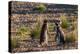 Argentina, Patagonia. Magellanic penguins interact on the beach-Howie Garber-Premier Image Canvas