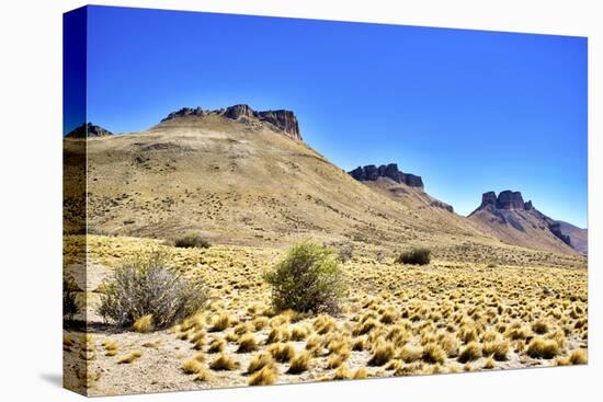 Argentina, Santa Cruz. Alero Charcamata (cave paintings site) and surroundings.-Michele Molinari-Premier Image Canvas