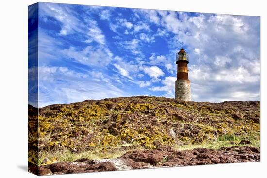 Argentina, Santa Cruz. Puerto Deseado, Penguin Island.-Michele Molinari-Premier Image Canvas