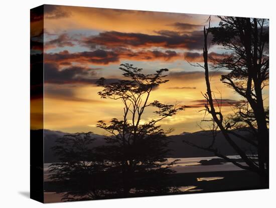 Argentina, Ushuaia, Sunrise-John Ford-Premier Image Canvas