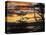 Argentina, Ushuaia, Sunrise-John Ford-Premier Image Canvas