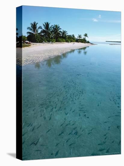 Ari Atoll, White Sands Island and Resort-Angelo Cavalli-Premier Image Canvas