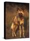 Arican Wild Dog Portrait (Lycaon Pictus) De Wildt, S. Africa-Tony Heald-Premier Image Canvas