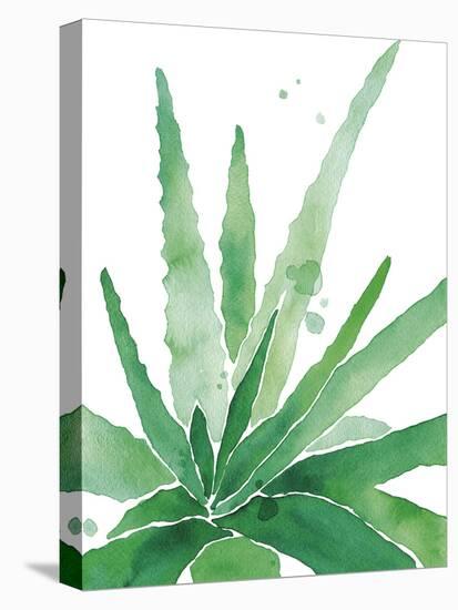 Arid - Aloe-Kristine Hegre-Stretched Canvas