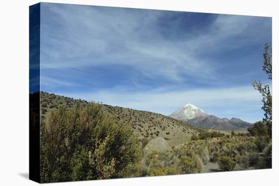 Arid Altiplano landscape, Sajama National Park, Bolivia-Anthony Asael-Premier Image Canvas