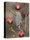 Arizona, Buckeye. Male Gila Woodpecker on Decorated Stalk at Christmas Time-Jaynes Gallery-Premier Image Canvas