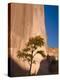 Arizona, Canyon De Chelly National Monument, USA-Alan Copson-Premier Image Canvas