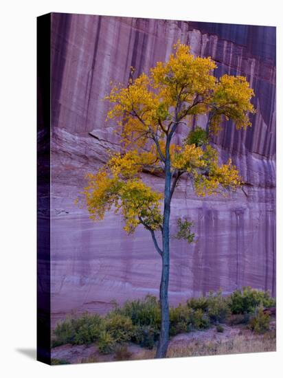 Arizona, Canyon De Chelly National Monument, USA-Alan Copson-Premier Image Canvas