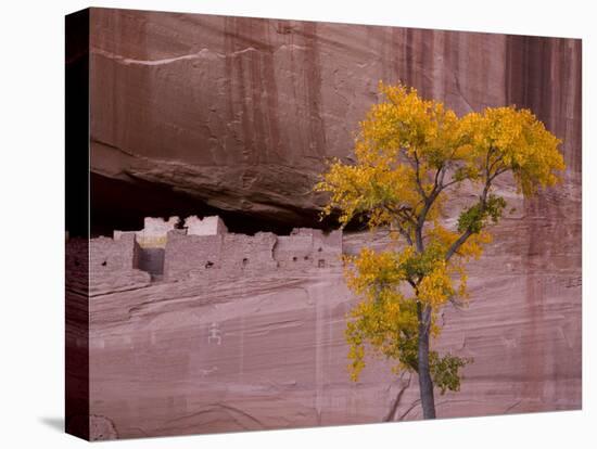 Arizona, Canyon De Chelly National Monument, USA-Alan Copson-Premier Image Canvas