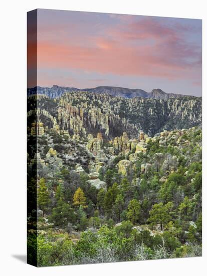 Arizona, Chiricahua National Monument. Sunrise on Rocky Landscape-Don Paulson-Premier Image Canvas