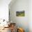 Arizona, Coronado NF. Saguaro Cactus and Blooming Palo Verde Trees-Cathy & Gordon Illg-Premier Image Canvas displayed on a wall