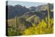 Arizona, Coronado NF. Saguaro Cactus and Blooming Palo Verde Trees-Cathy & Gordon Illg-Premier Image Canvas