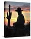 Arizona Cowboy-Barry Hart-Stretched Canvas