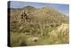Arizona, Desert Valley Landscape near Phoenix,Scottsdale,Usa-BCFC-Premier Image Canvas