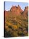 Arizona, Evening Light on Brittlebush-John Barger-Premier Image Canvas