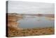 Arizona, Glen Canyon Nra with the Lake Powell Resort and Marina-Kevin Oke-Premier Image Canvas