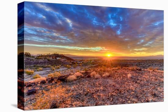 Arizona, Lake Havasu City. Sunset on Desert-Jaynes Gallery-Premier Image Canvas