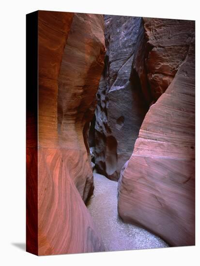 Arizona-Utah Border, Vermilion Cliffs National Monument-John Barger-Premier Image Canvas