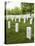 Arlington National Cemetery, Arlington, Virginia, United States of America, North America-Robert Harding-Premier Image Canvas