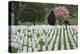 Arlington National Cemetery Headstones, Arlington, Virginia, USA-Jaynes Gallery-Premier Image Canvas