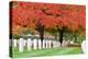 Arlington National Cemetery near to Washington Dc, in Autumn-Orhan-Premier Image Canvas