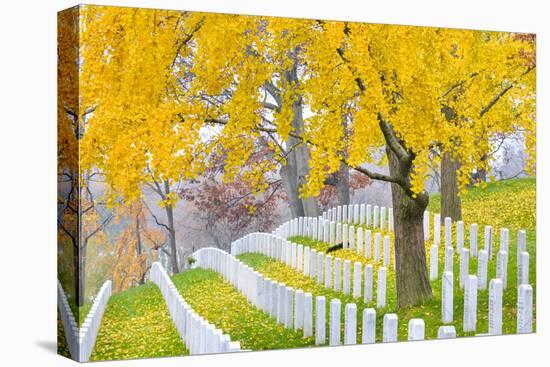 Arlington National Cemetery near to Washington Dc, in Autumn-Orhan-Premier Image Canvas