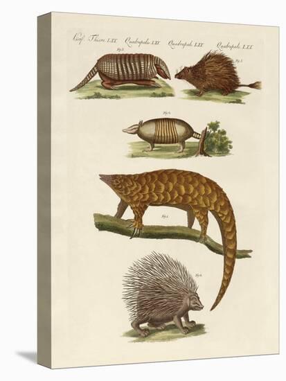 Armoured and Prickly Animals-null-Premier Image Canvas