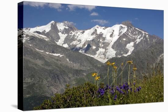 Arnica Montana And Mont Blanc-Bob Gibbons-Premier Image Canvas