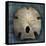 Arrowhead Sand Dollar-John W Golden-Premier Image Canvas