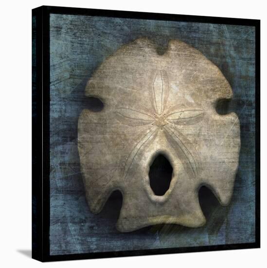 Arrowhead Sand Dollar-John W Golden-Premier Image Canvas