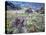 Arrowleaf Balsamroot and Indian Paintbrush, Imnaha River Canyon Rim, Oregon, USA-William Sutton-Premier Image Canvas