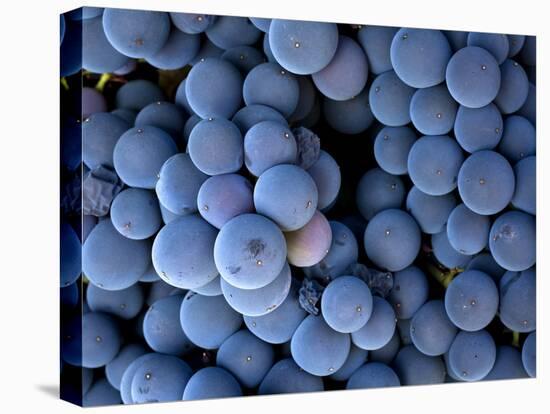 Arroye Grande, California: a Central Coast Winery-Ian Shive-Premier Image Canvas