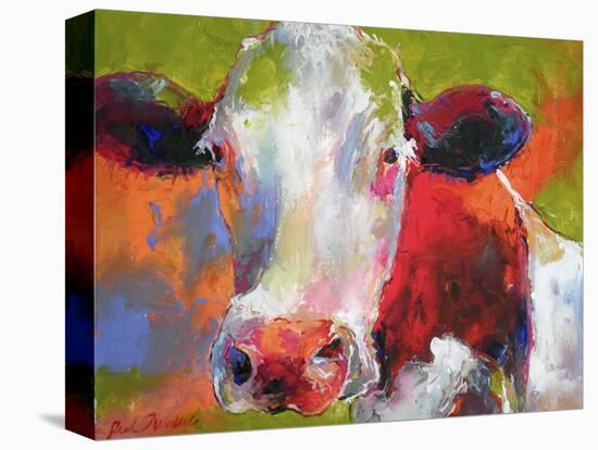 Art Cow-Richard Wallich-Premier Image Canvas