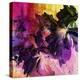 Art Floral Vintage Background with Asters-Irina QQQ-Stretched Canvas