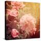 Art Floral Vintage Background with Pink Peonies-Irina QQQ-Stretched Canvas