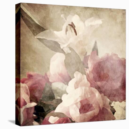 Art Floral Vintage Sepia Background with Pink Peonies and White Lily-Irina QQQ-Stretched Canvas