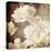 Art Floral Vintage Sepia Background with White Asters-Irina QQQ-Stretched Canvas