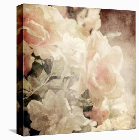 Art Floral Vintage Sepia Background with White Roses-Irina QQQ-Stretched Canvas