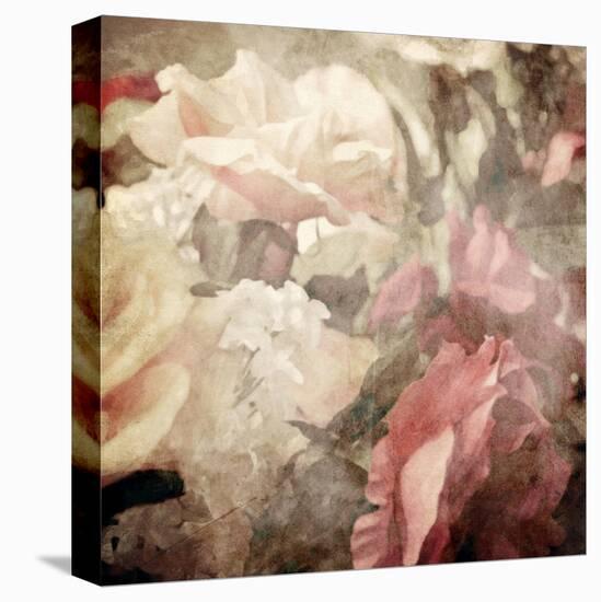 Art Floral Vintage Sepia Blurred Background with White and Pink Roses-Irina QQQ-Stretched Canvas